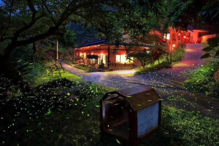 Springcreek Hostel