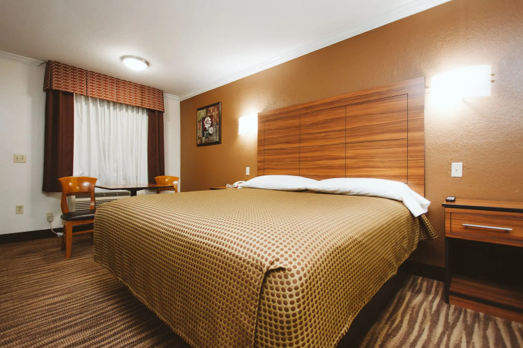 Palace Inn Wayside