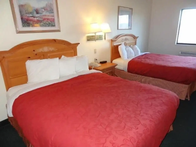 Standard Suite