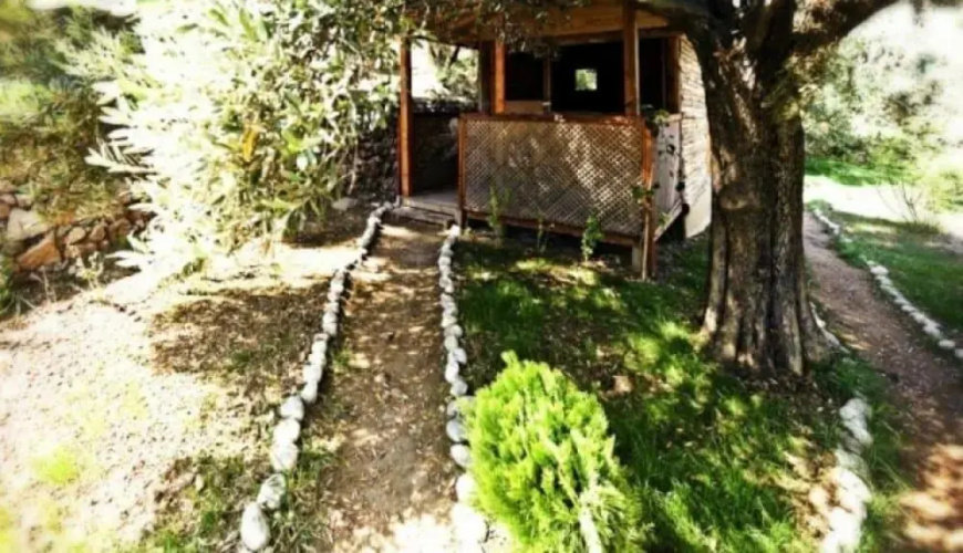 Shambala Lodge Hotel