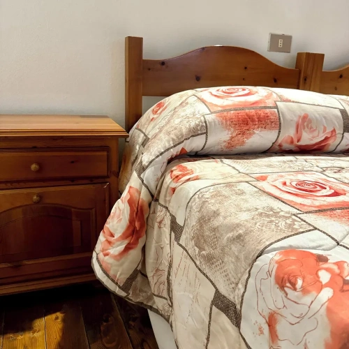 Standard Double room with mountain view