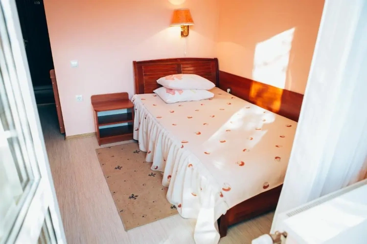 Standard Single room with mountain view