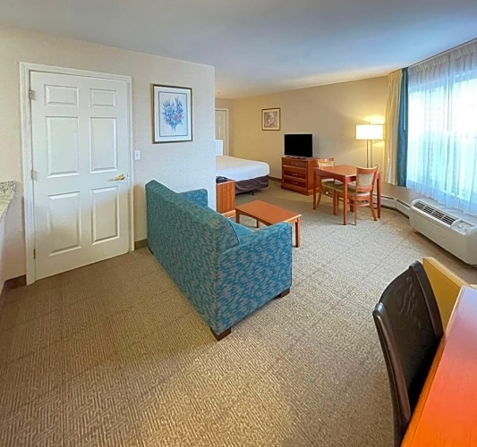 1 Bedroom Suite