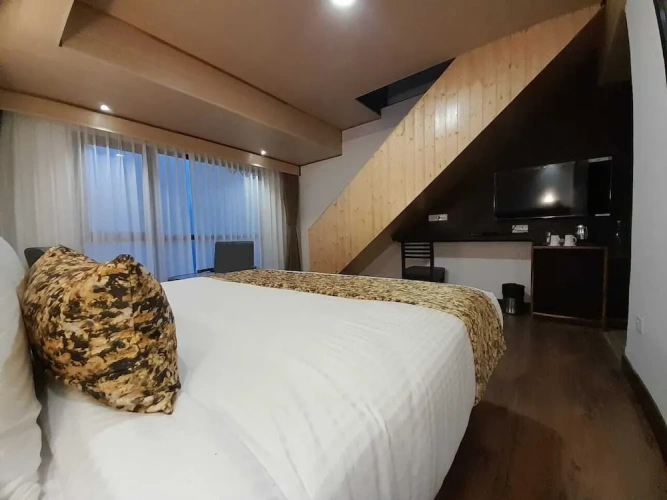 Junior Suite