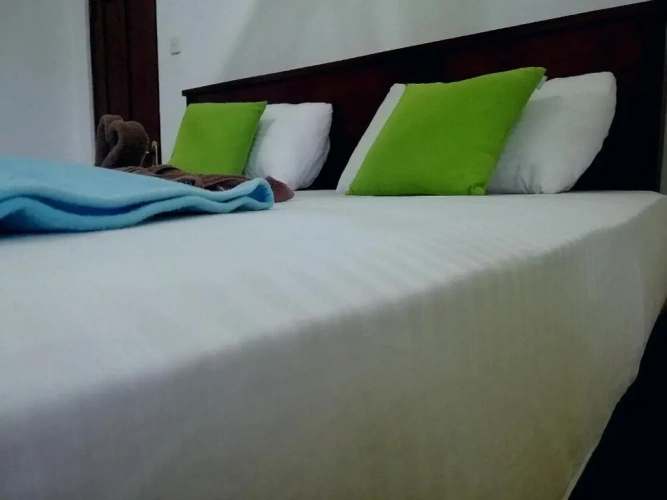 Standard Double room with mountain view