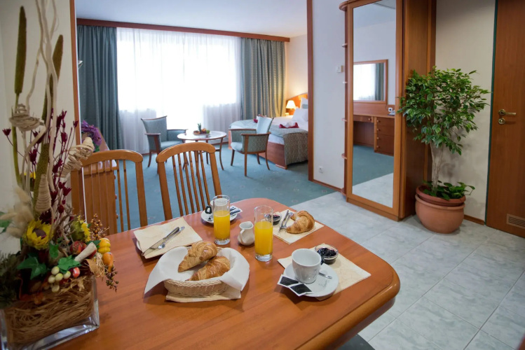 Hotel Palace Hévíz