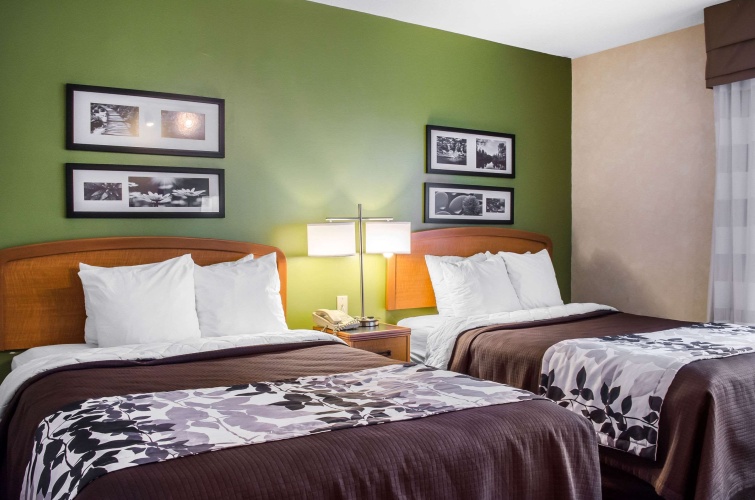 Standard Quadruple room