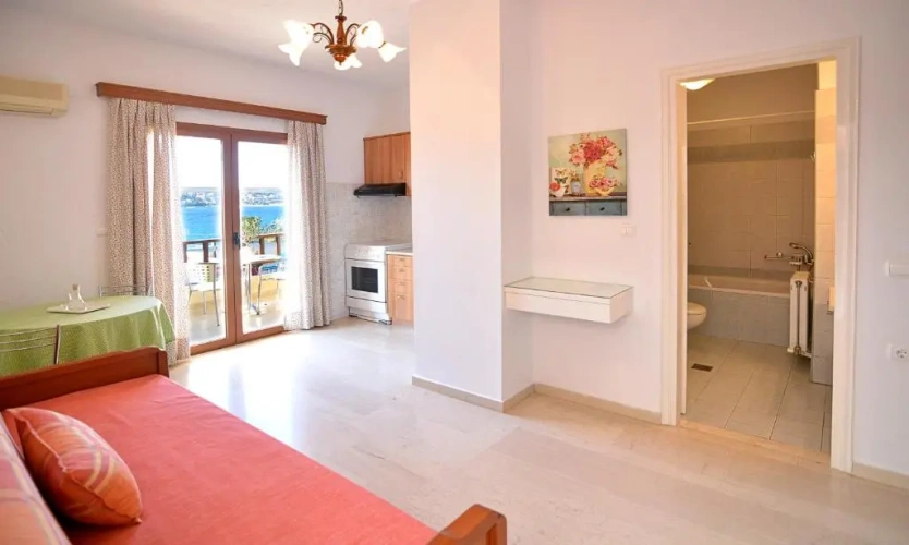 1 Bedroom Classic Apartment