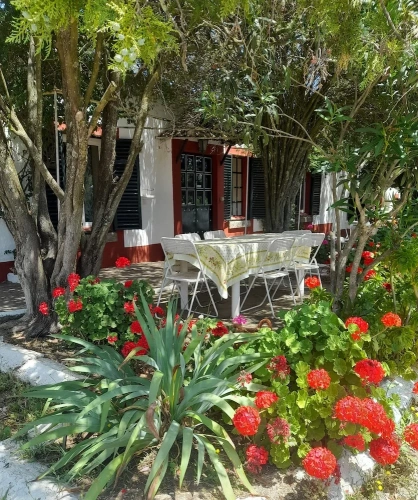 Comfort Double room with garden view