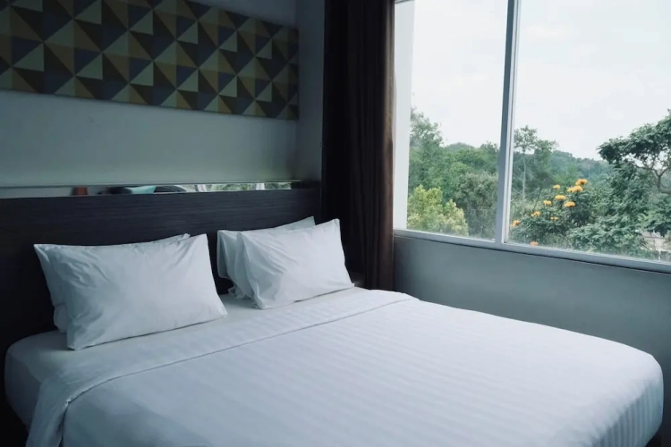 Deluxe Double room with city view
