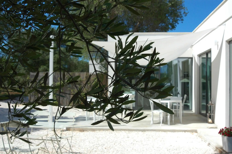 Ulivi Al Sole - Charming B&B Over view