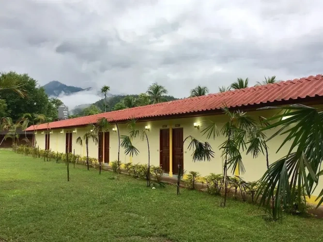 Superior room