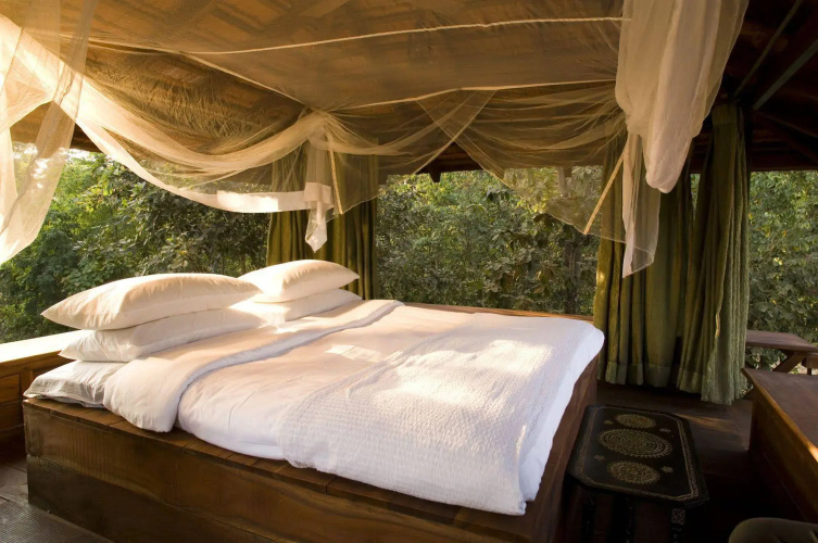 Baghvan, Pench National Park