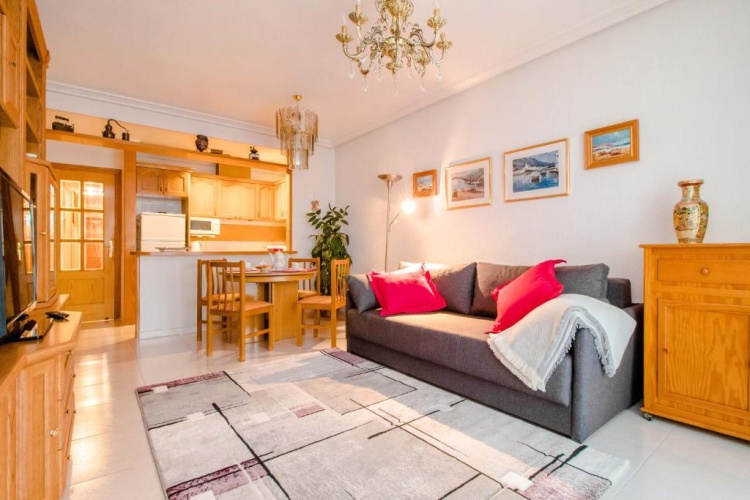 1 Bedroom Apartment