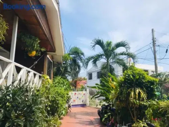 Acacias Tree Hostel