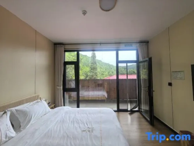 1 Bedroom Standard Double room