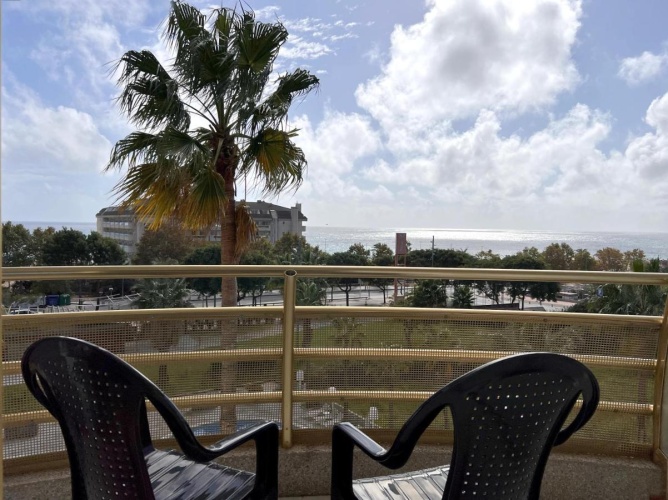 Hotel Alegria Mercury photo 8