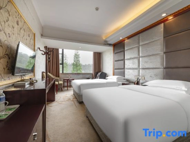 Standard Twin room with river view
