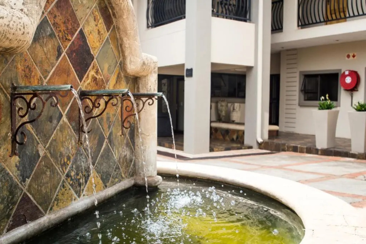 The Wild Olive Guesthouse