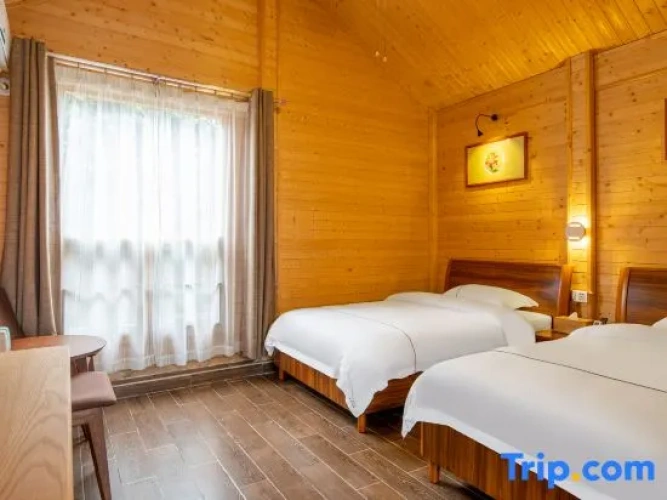 Standard Twin room with view