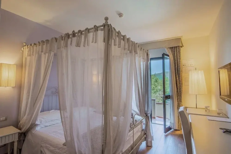 Deluxe Double room with balcony and with pool view