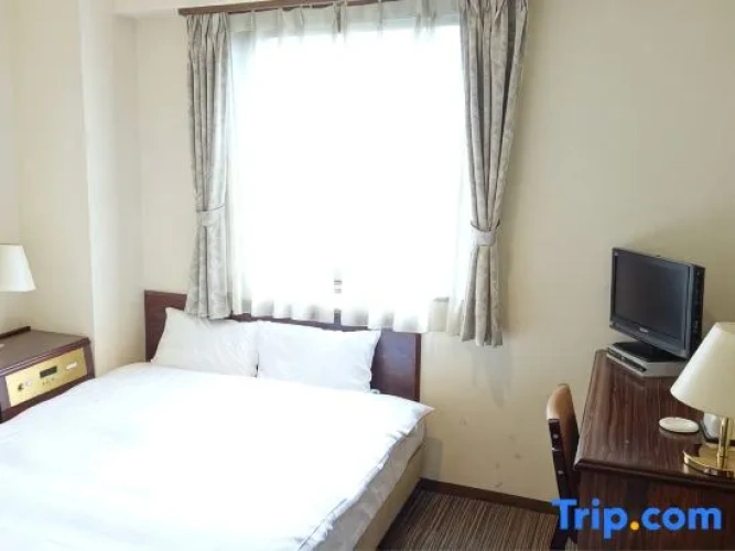 Standard Double room with city view