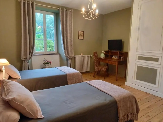 Superior Twin room with garden view