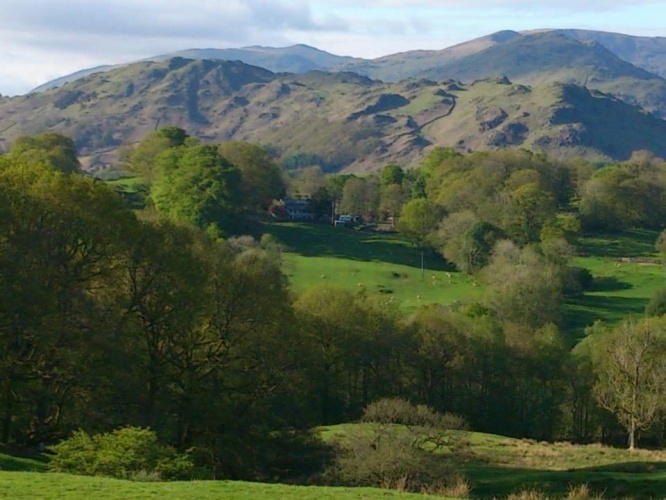 Standard Double room with garden view