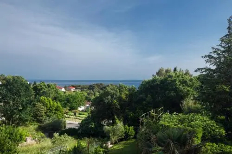 Apartments Marta