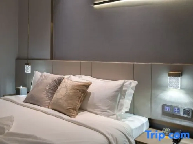 Comfort Suite