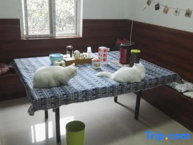 Yanwujia Youth Hostel