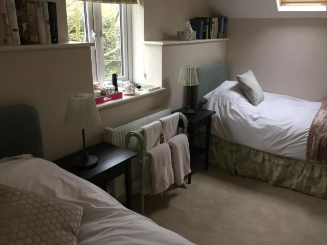 Standard Twin room with garden view