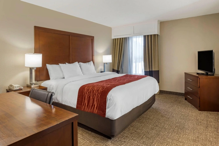 Standard Double room