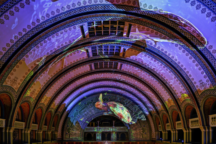 St. Louis Union Station Hotel, Curio Collection by Hilton photo 24
