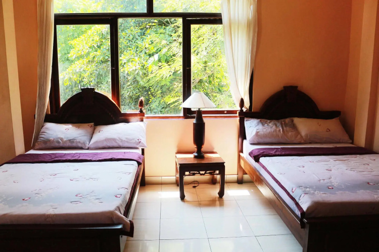 Citrus Tree Rooms - Arik