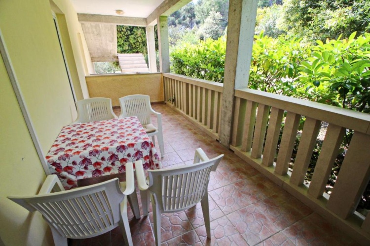 Comfort Double Apartment with garden view