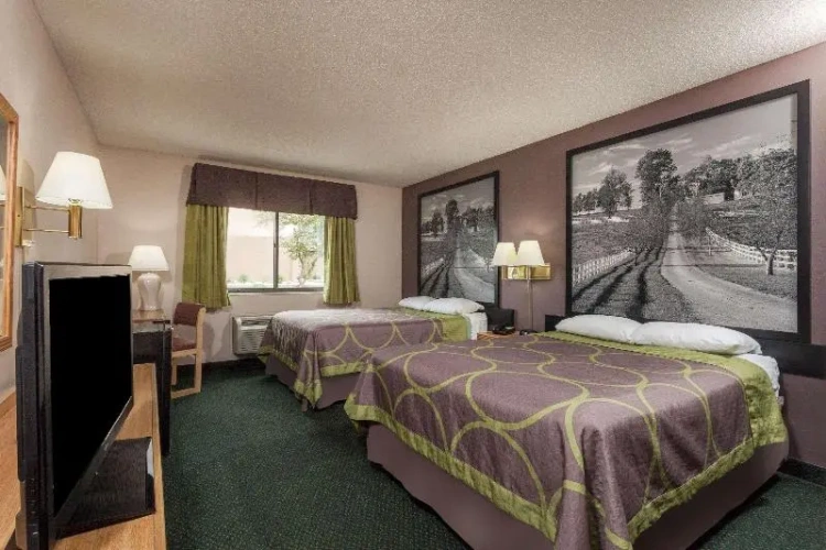 Standard Double room