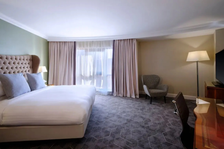 1 Bedroom Suite