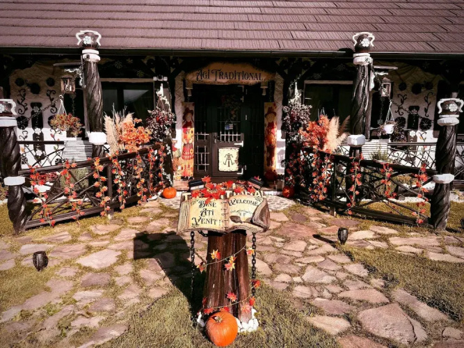 Agi Traditional