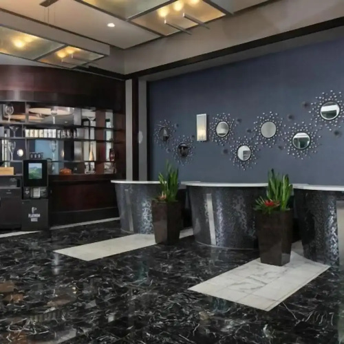 StripViewSuites at Platinum