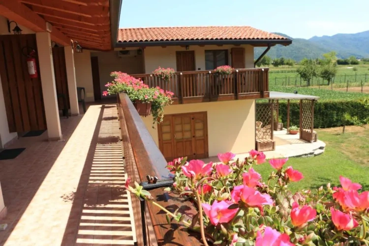 Standard Single room with mountain view