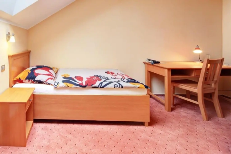 Superior Single room