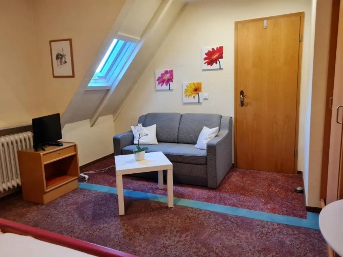 Standard Double room with mountain view