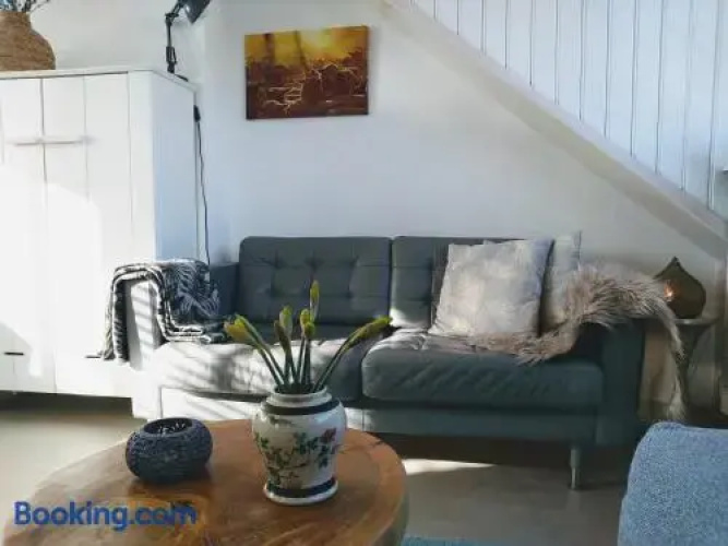 Studio Zuid 5