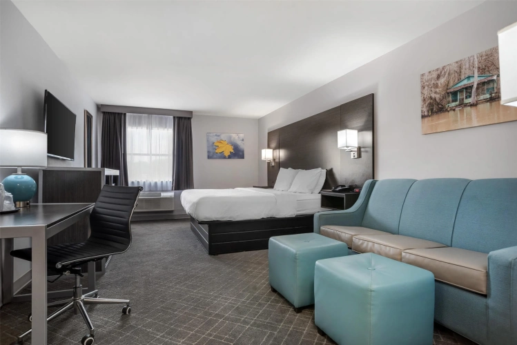 Standard Double room