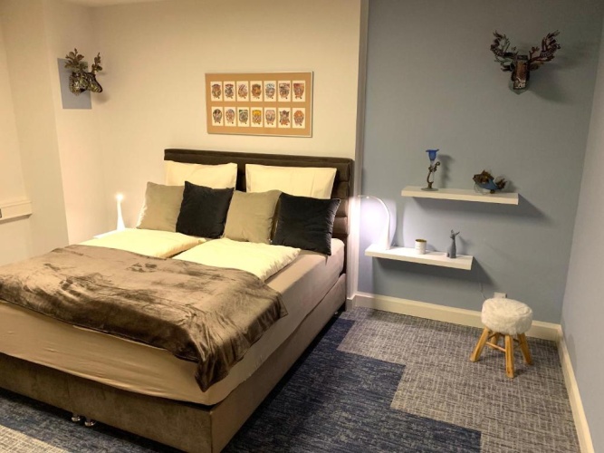 Basement Apartment