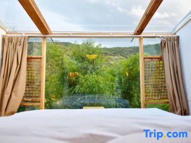 1 Bedroom Standard room