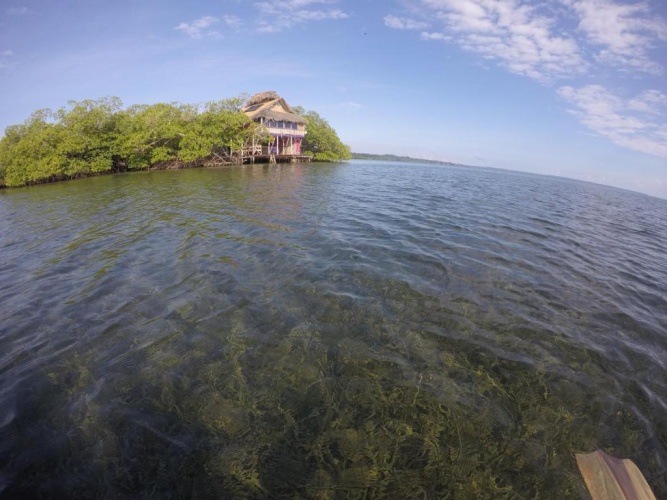 Family Bungalow with sea view