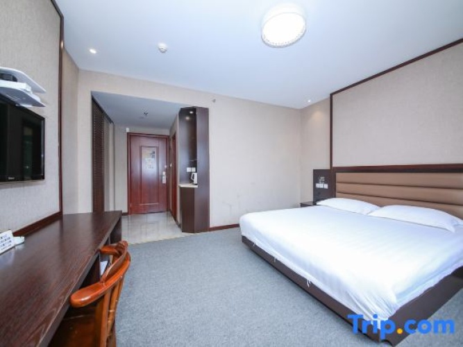 Standard Suite