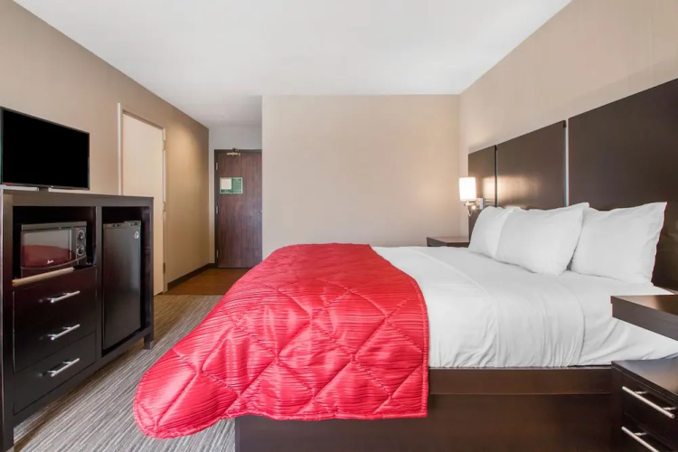 Clarion Inn & Suites Springfield